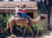 Thumbnail: Margarita and Guadalupe Navarro riding a Zoo camel (dont' let anyone tell you it's an elepahnt)